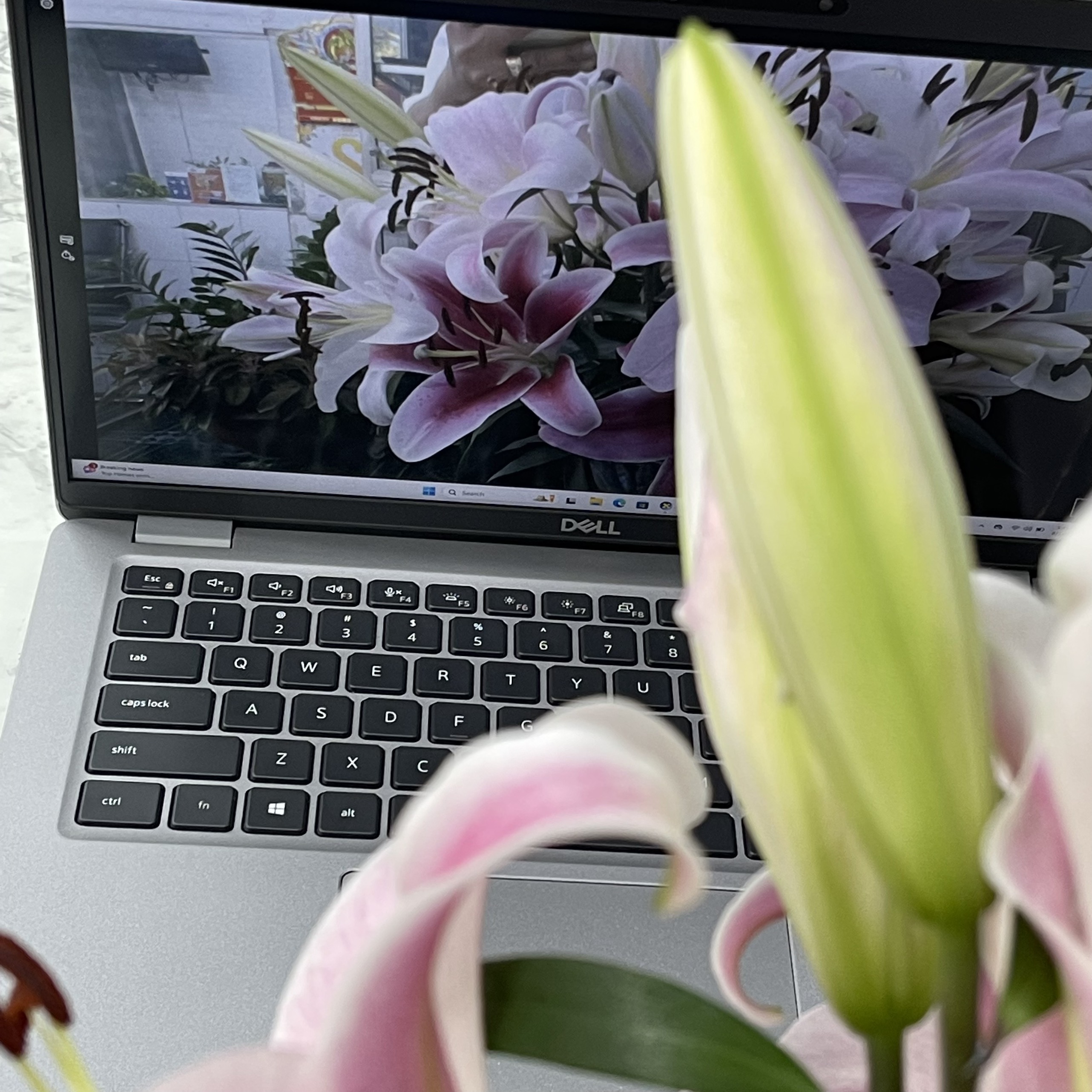 Dell Latitude 5420 Core™ I5-1145G7 Ram 8gb Ssd 256gb Màn Hình 14.0''Inch Fhd IPS