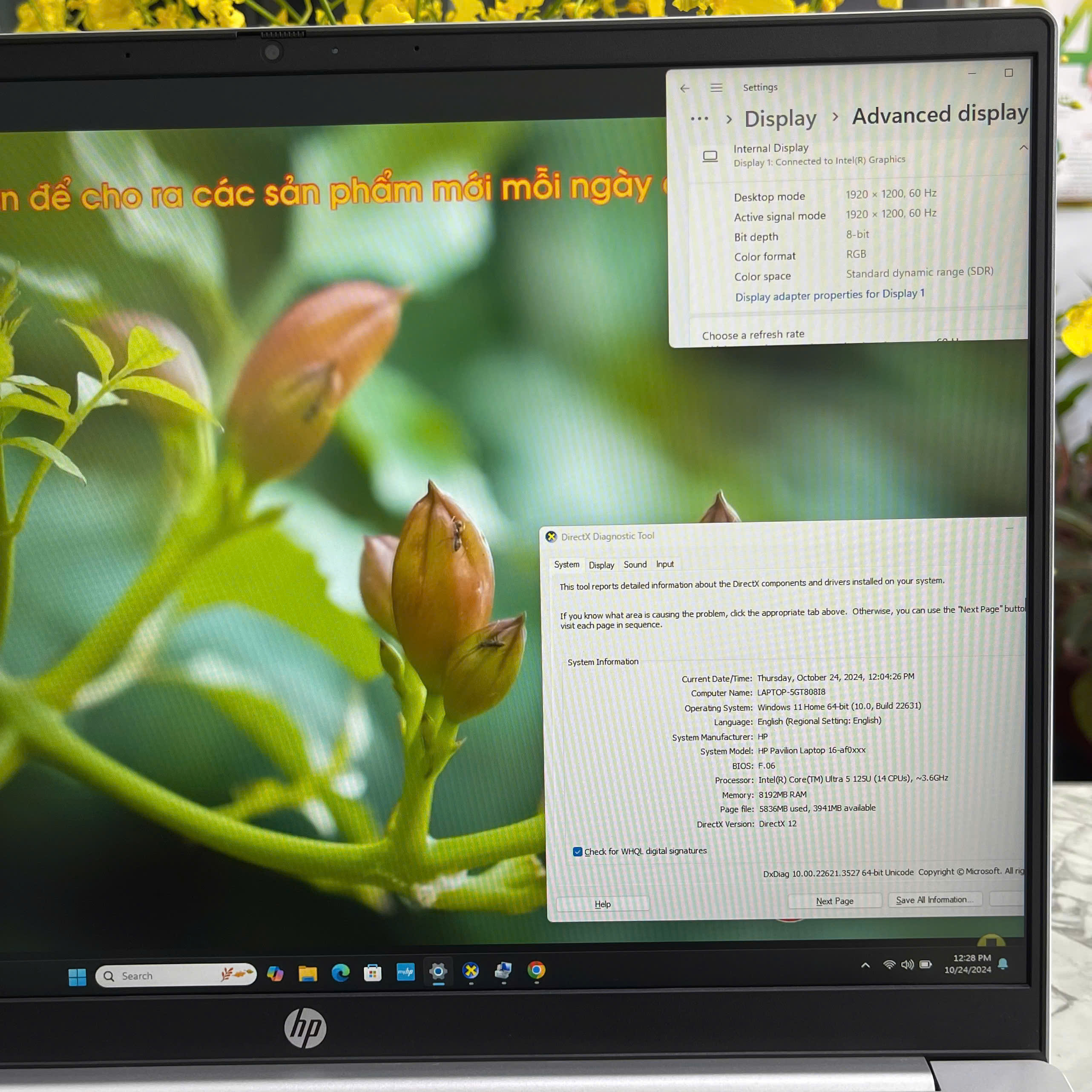 HP Pavilion 2024 16-af0066st-Máy Like New- Ultra 125U Ram 8Gb Ssd 512Gb Màn Hình 16Inch FHD+ IPS
