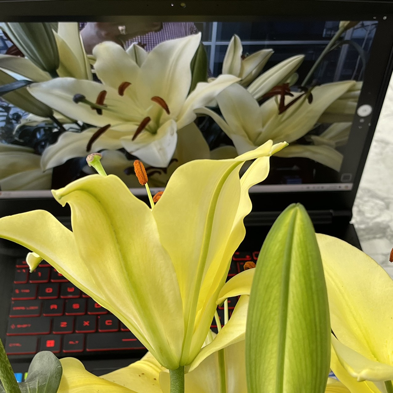 Gaming - Đồ Họa MSI GF63 Thin 11UC-1230VN Core I5-11400H Ram 8gb Ssd 512gb VGA RTX3050 4GB Màn Hình 15.6'' IPS Fhd 144.Hz
